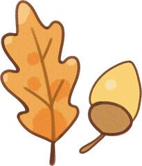 oak leaf on white background