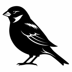 sparrow silhouette vector black on white background