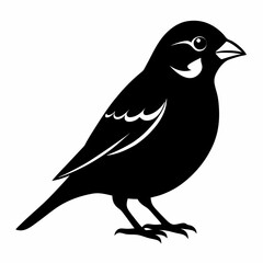 Fototapeta premium sparrow silhouette vector black on white background