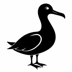 albatross silhouette vector black on white background