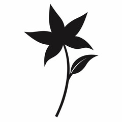 anthericum silhouette on white background