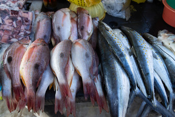 Fresh fish on Ice at Seafood Market, seafood concept