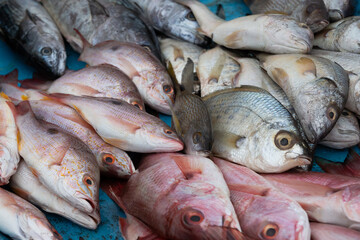 Fresh fish on Ice at Seafood Market, seafood concept