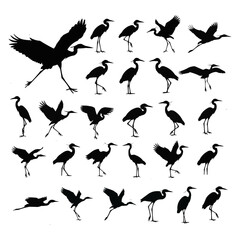Obraz premium Flying stork silhouette in vector wildlife icons collection