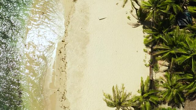 Beautiful sandy beach with palm trees and sea surf with waves. Pagudpud, Ilocos Norte, Philippines.
