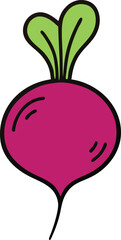 Hand drawn beetroot vegetable illustration for healthy food design