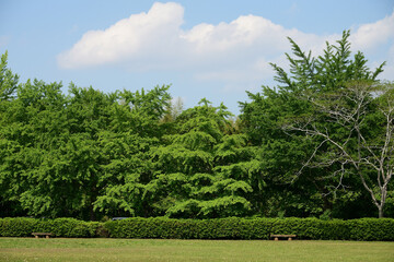 公園緑地