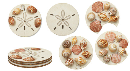Seashells and sand dollar coasters set beach themed home decor coastal living room accessories on transparent background