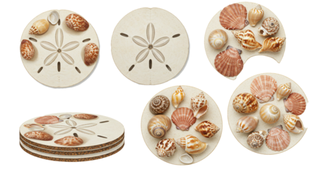 Seashells and sand dollar coasters set beach themed home decor coastal living room accessories on transparent background