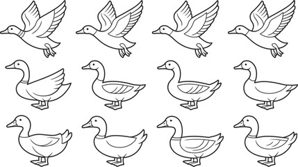 Fototapeta premium Twelve cartoon ducks in different poses black and white illustration