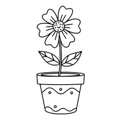 Happy Flower in a Small Pot