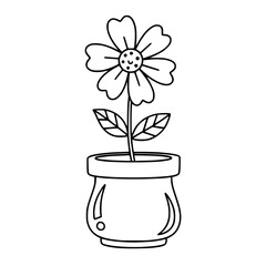 Happy Flower in a Small Pot