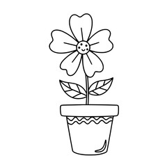 Happy Flower in a Small Pot