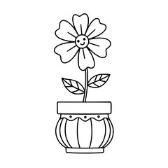 Happy Flower in a Small Pot
