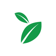 green leaf icon