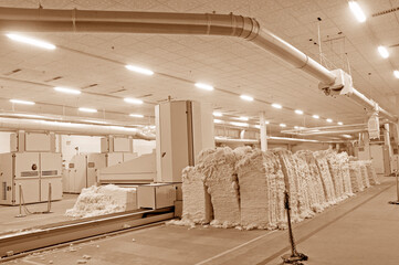 Cotton group in spinning production line factory