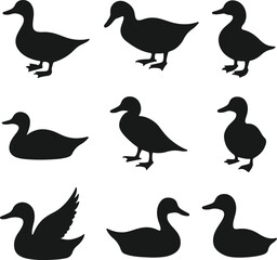 Nine black silhouettes of ducks in various poses and angles