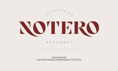 Modern display serif font with elegant decorative tails and contrast, great for luxury design themes
