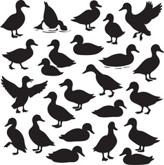 Collection of silhouettes featuring various duck poses in multiple arrangements on a white background