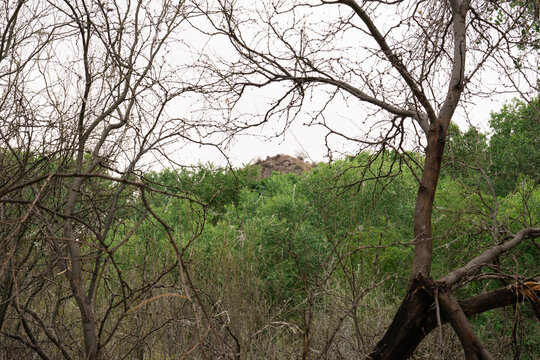 arizona nature hill