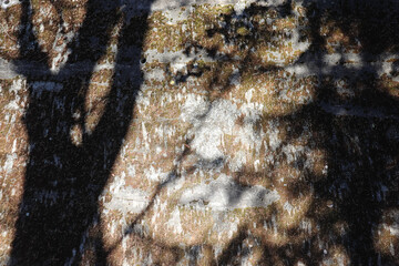 The shape of a shadow falling on the ground