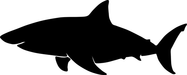 silhouette of a shark
