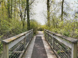 Fototapeta premium Great Blue Heron Nature Reserve during a spring season in Chilliwack, British Columbia, Canada