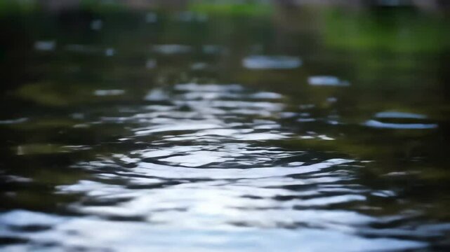 Raindrops Hitting Pond Surface, Creating Ripples &ndash; Seamless Loop