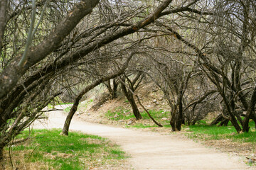 nature park path