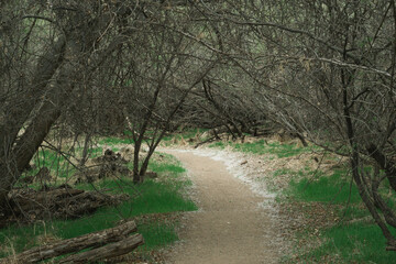 nature preserve path