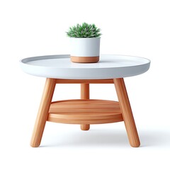 Modern plant pot on a small round wooden coffee table