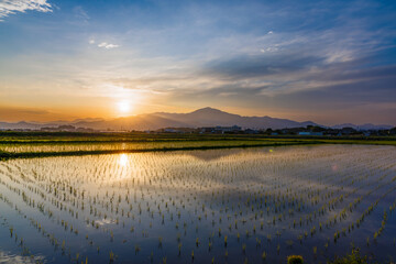 夕暮れの平塚郊外の水田と丹沢山脈