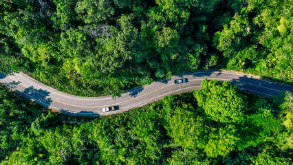 Electric cars to protect the environment and transportation road of Top view road in beautiful Rain forest with natural background, corporate concept to invest in the environment social and