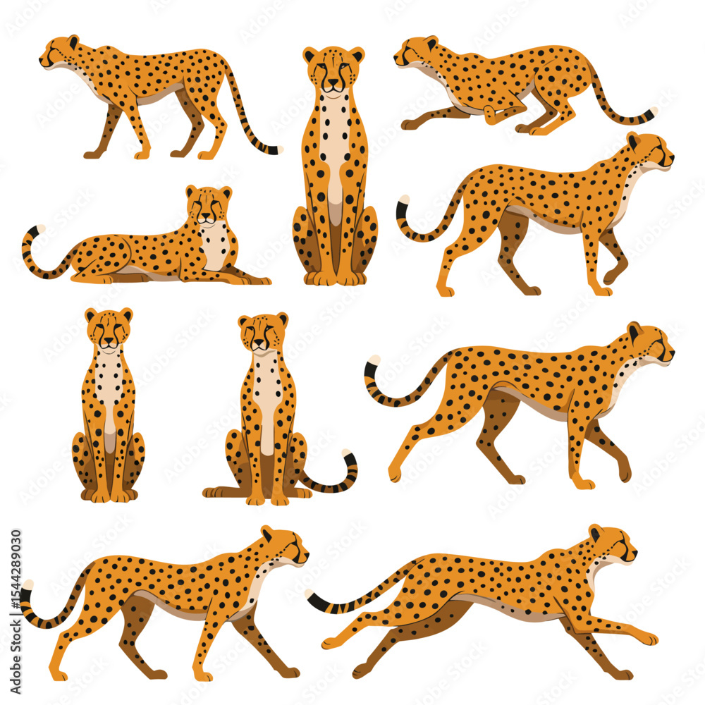 Poster a collection of cheetahs in various poses each with distinct markings and body positions