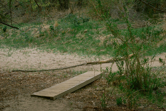 wooden bridge in the park