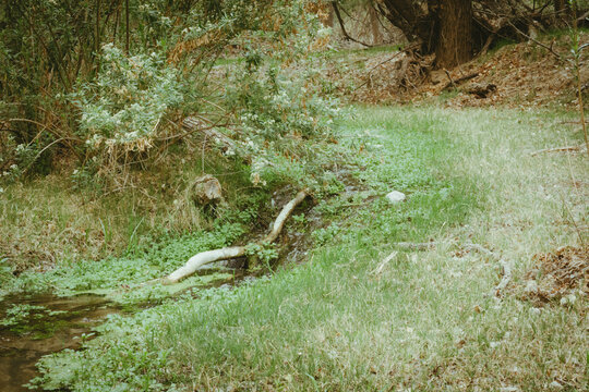 creek waterfall
