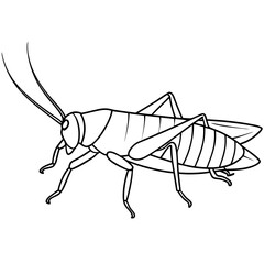 Grasshopper outline Illustration Design