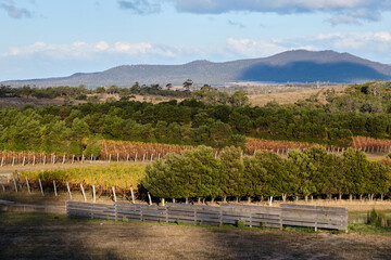Beautiful view - Apslawn, Tasmania, Australia