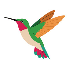 Obraz premium Hummingbird vector art illustration