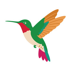Obraz premium Hummingbird vector art illustration