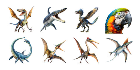 8 extinct wings animal isolated on transparent background