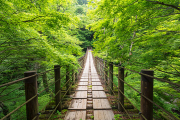 花貫渓谷汐見滝吊り橋