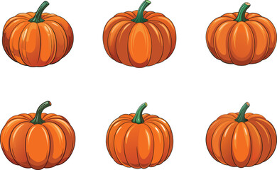 Orange Pumpkin Harvest Autumn Illustration Design

