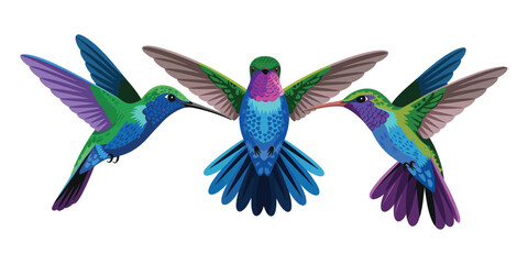 Obraz premium Realistic hummingbird set vector illustration