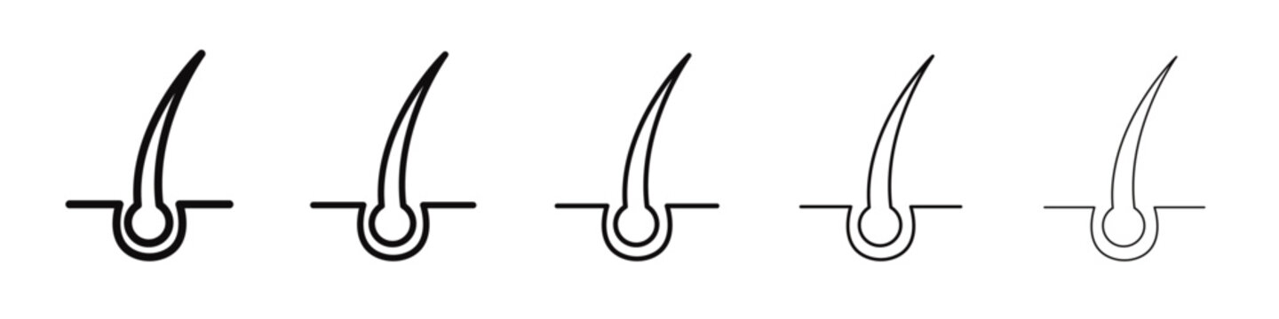 Hair Split Ends icon black and white vector sign