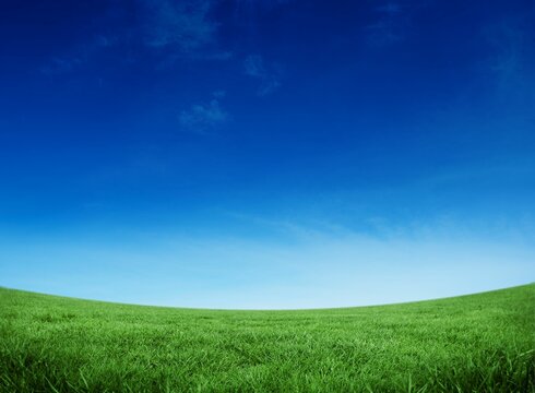 Fototapeta Green field under blue sky