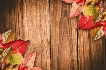 Flat design wood tabletop is forming autumn backdrop with vibrant leaf clusters on transparent bg
