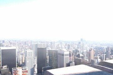 Flat design is showing rooftop concrete ledge and metal railing overlooking skyscraper cluster