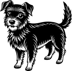 dog on white background