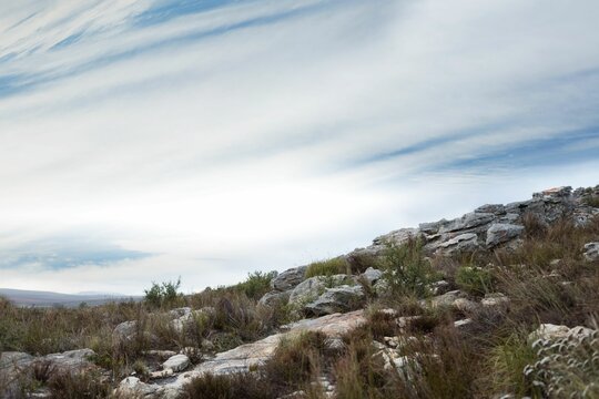 Fototapeta Flat vector illustration is showing rocky outcrop with shrubs and grasses under pale blue sky